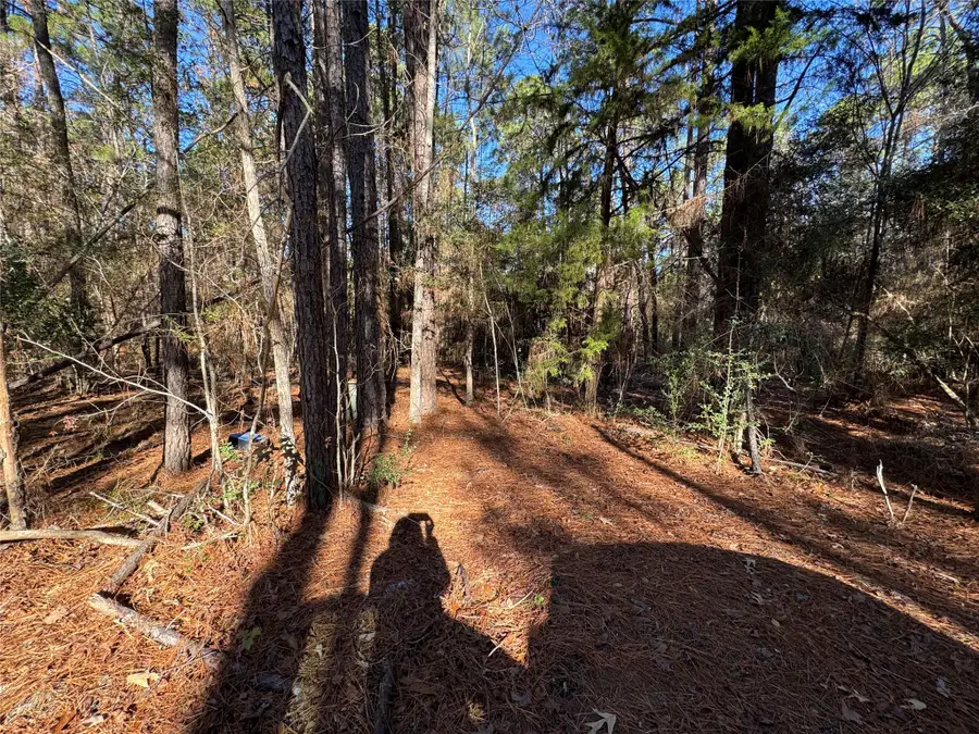 345 Sumac Drive, Brookeland, TX 75931 - Image #2