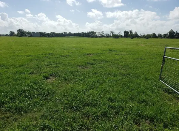 169 Timberline Drive, Bay City, TX 77414