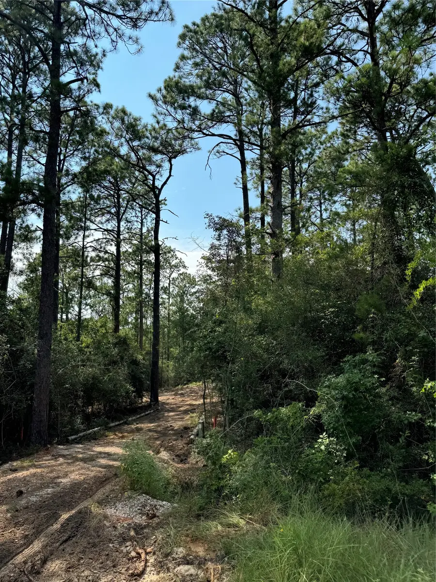 565 Sparkleberry Drive, Brookeland, TX 75931 - #2