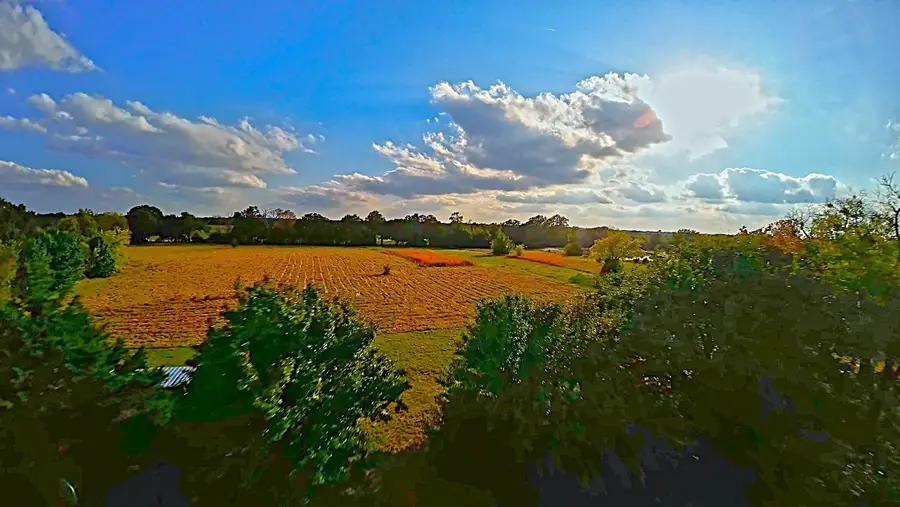 269 Cr 1008, Wolfe City, TX 75496 - Image #2