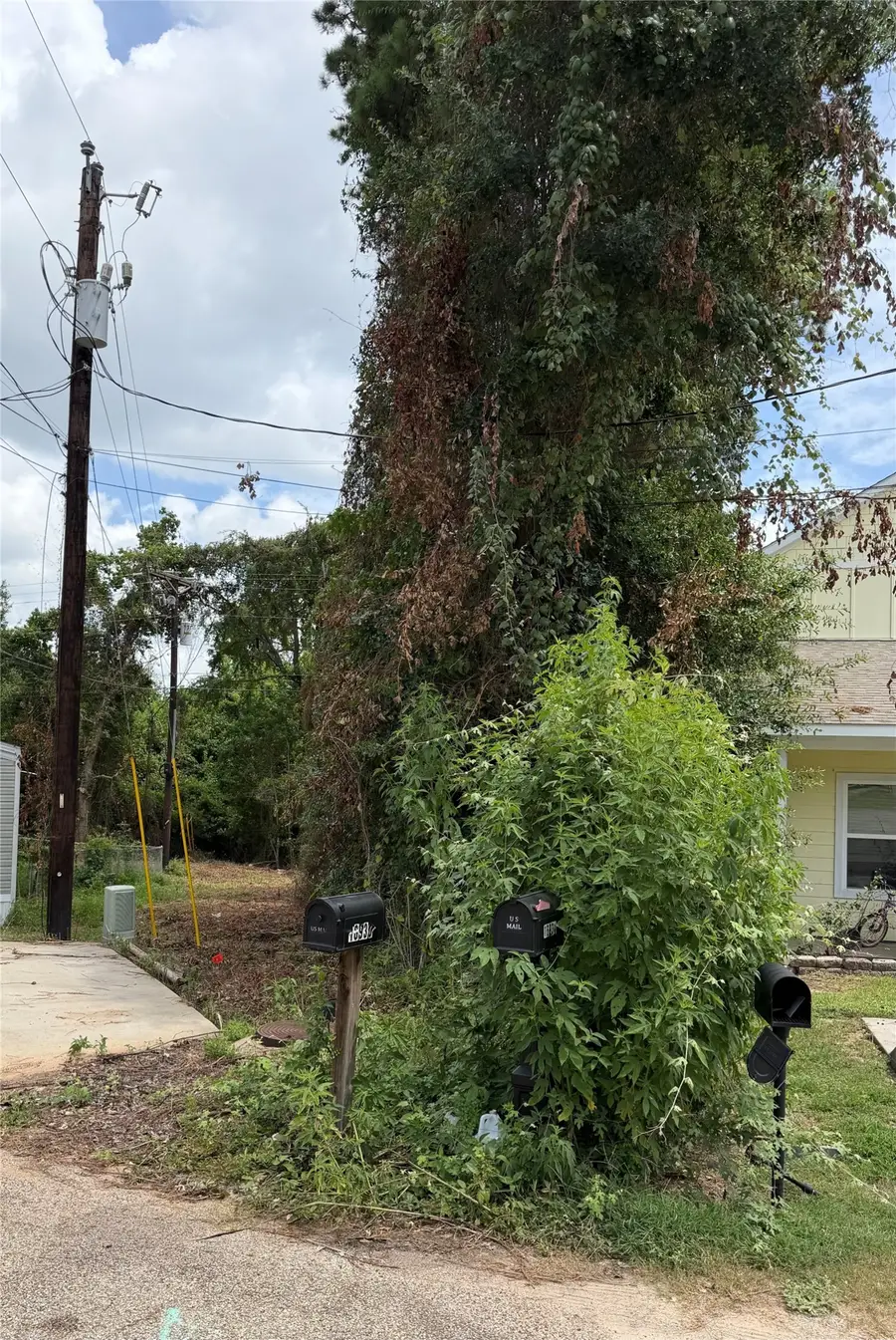 16926 W Alderson, Montgomery, TX 77316 - #3