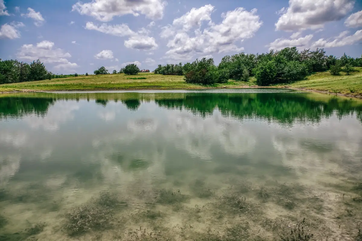 9909 Latium Cemetery Rd - Tract 4, Burton, TX 77835 - #1