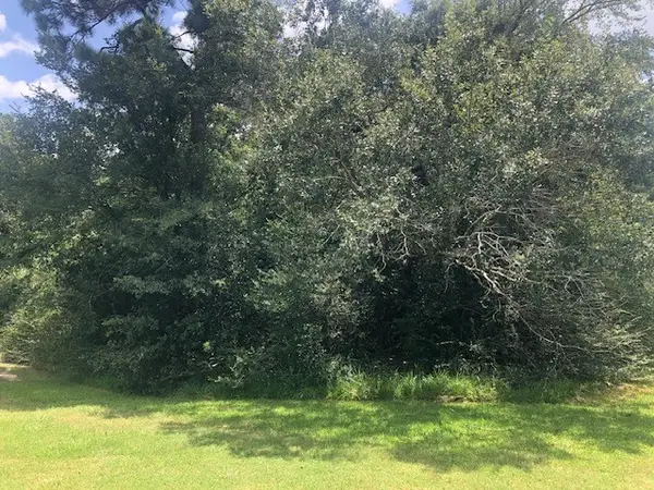 0000 County Road 2134 Off Of Milvid, Cleveland, TX 77369