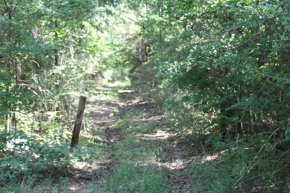 000 County Road 2240, Grapeland, TX 75844 - #1