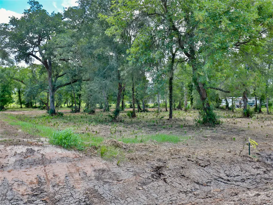 2301 Cr 851, Brazoria, TX 77422 - #3