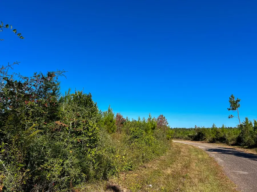 T-4 Fm 787, Votaw, TX 77376 - Image #3