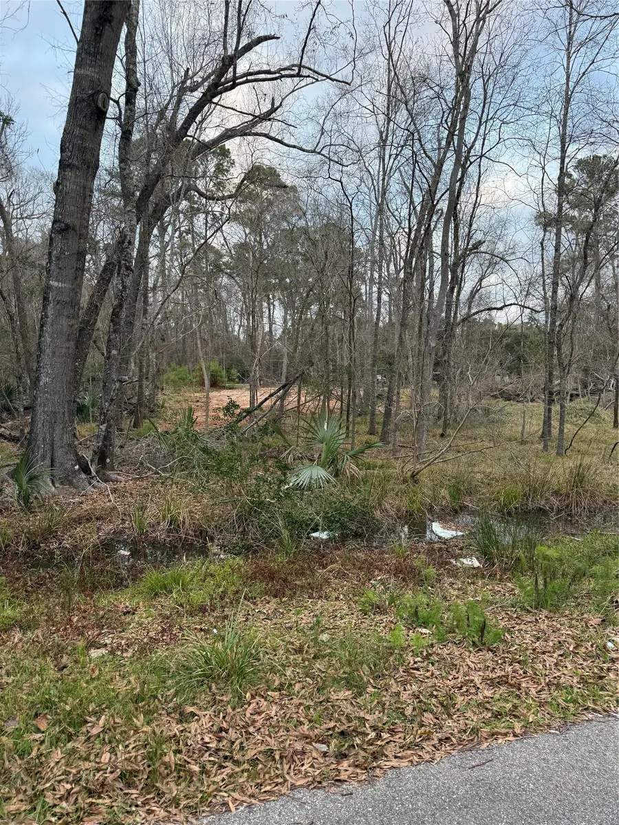 0 Pin Oak Drive Lane, Huffman, TX 77336 - #2