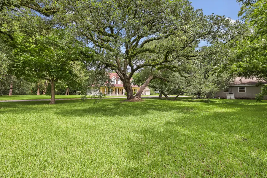 123 Burwell Road Road, Highlands, TX 77562 - #3