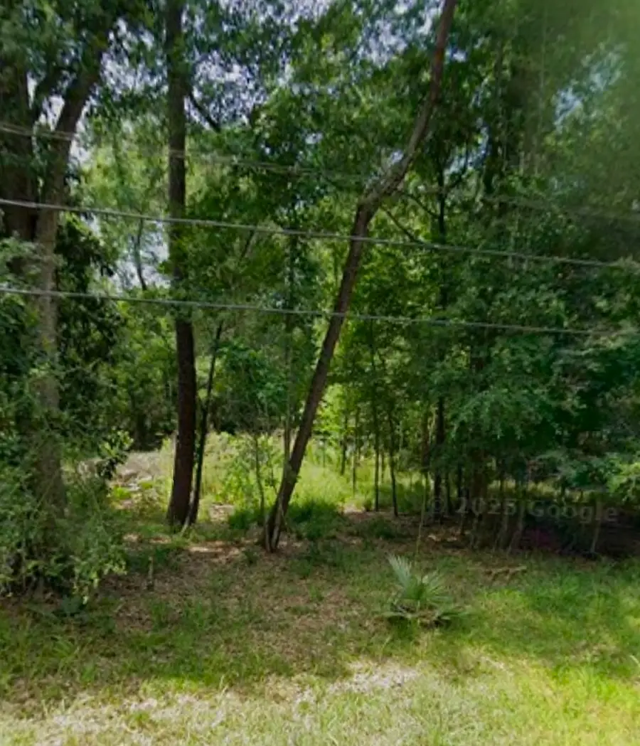 0 White Oak Drive, Huffman, TX 77336 - #2