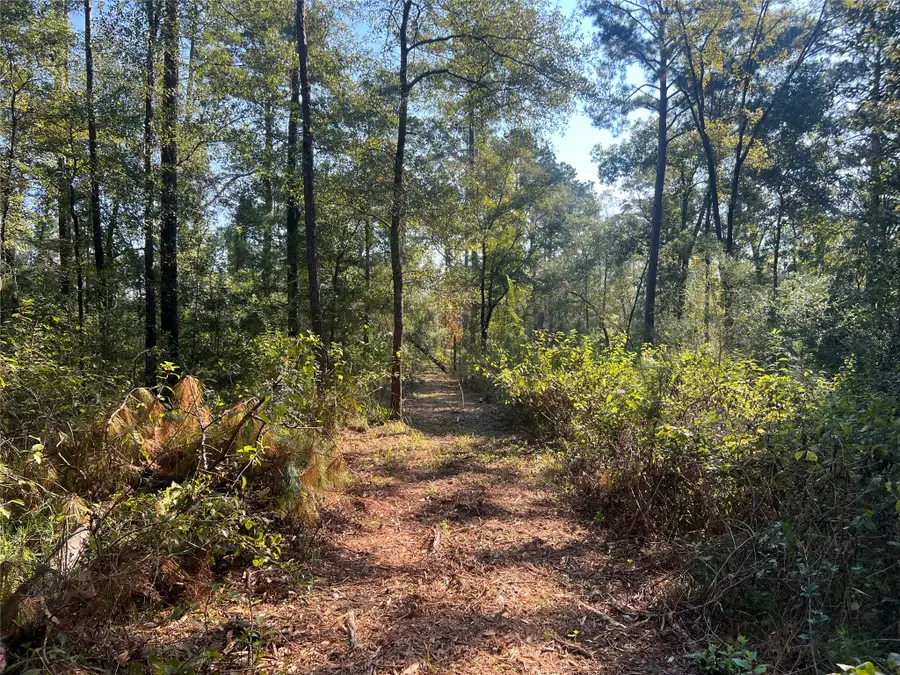 TBD 1 Hardy Bottom Road, Huntsville, TX 77340 - #3