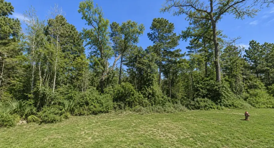 239 Sky Oak Drive, Huntsville, TX 77340 - #2