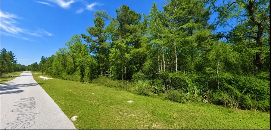 239 Sky Oak Drive, Huntsville, TX 77340 - #3
