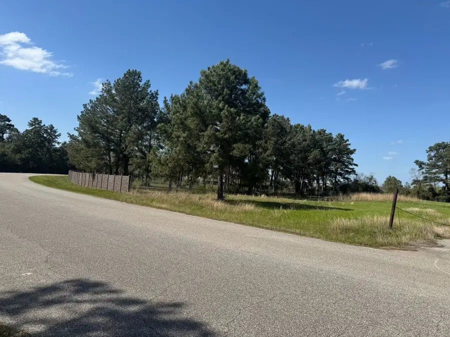 803 Lizzie Lane, Tomball, TX 77375 - #2