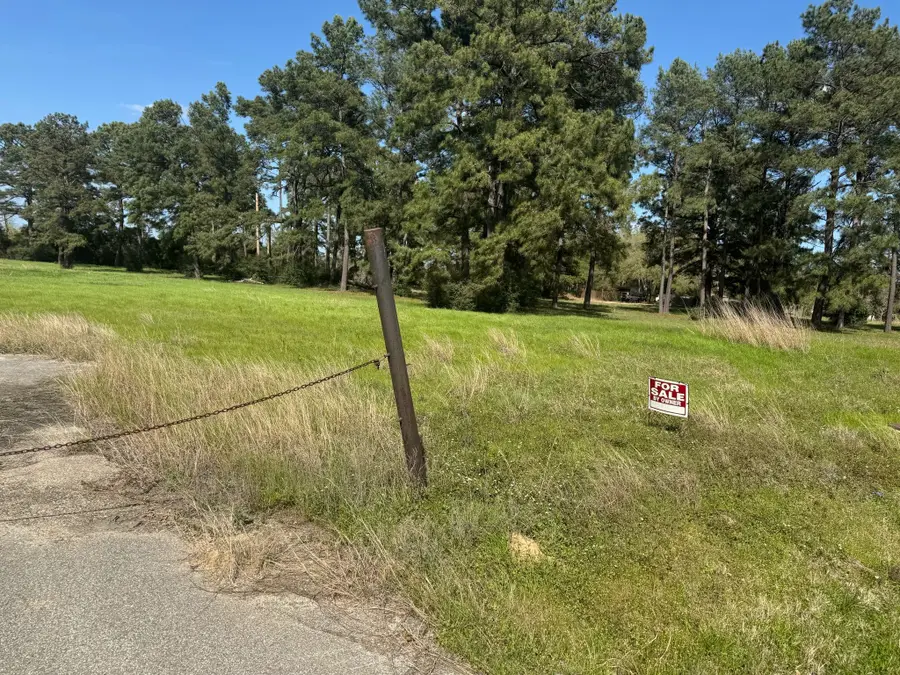 803 Lizzie Lane, Tomball, TX 77375 - #3