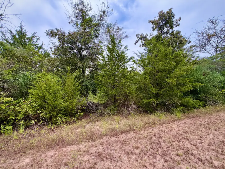 0 Cotton Tail Drive, Waller, TX 77484 - #3