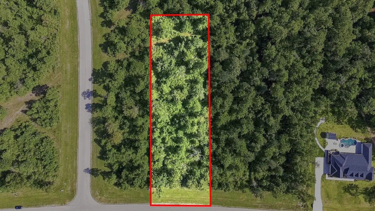 294 Iron Horse Road, Willis, TX 77378 - #1