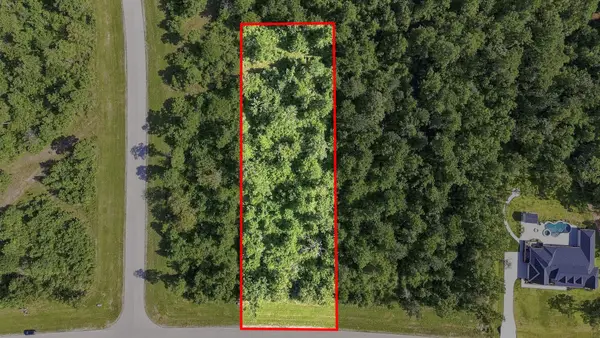 294 Iron Horse Road, Willis, TX 77378