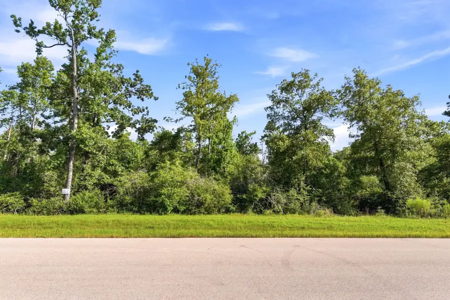 294 Iron Horse Road, Willis, TX 77378 - #2