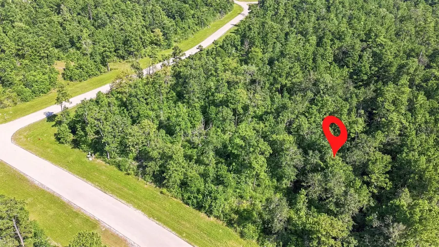 294 Iron Horse Road, Willis, TX 77378 - #3
