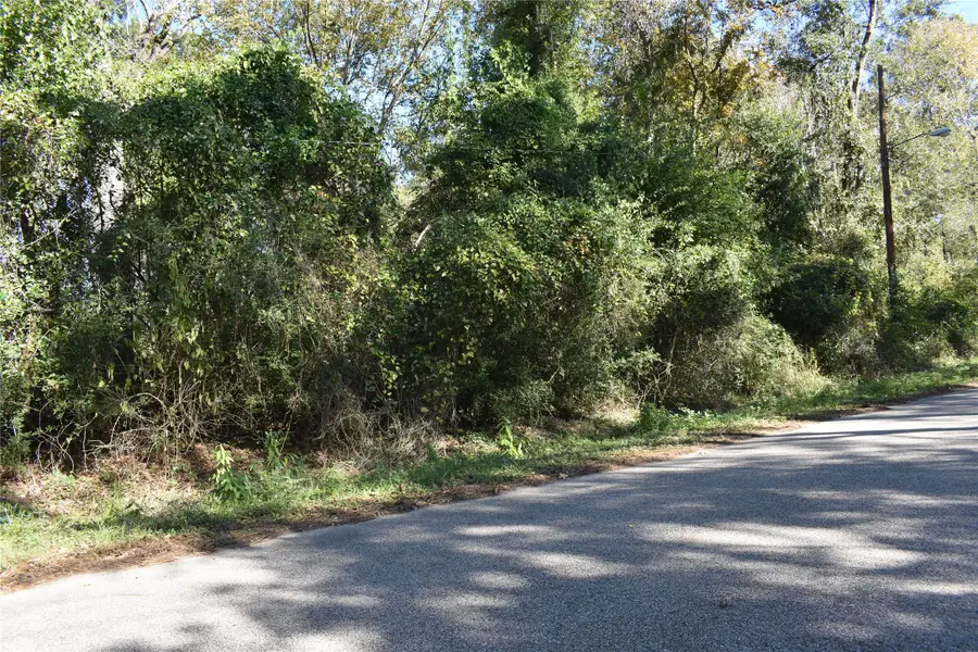 3415 Evergreen Drive, Porter, TX 77365 - Image #2