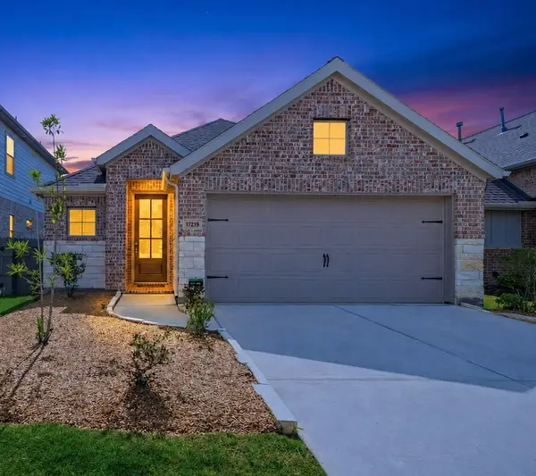17219 Wild Watermelon Way, Conroe, TX 77302