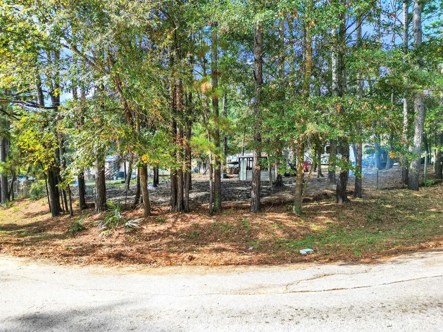 14321 Forest Circle E, Montgomery, TX 77356 - Image #3