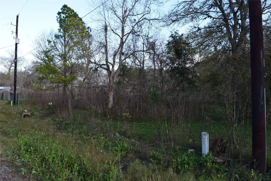 9721 Cr 544c, Manvel, TX 77578 - #3