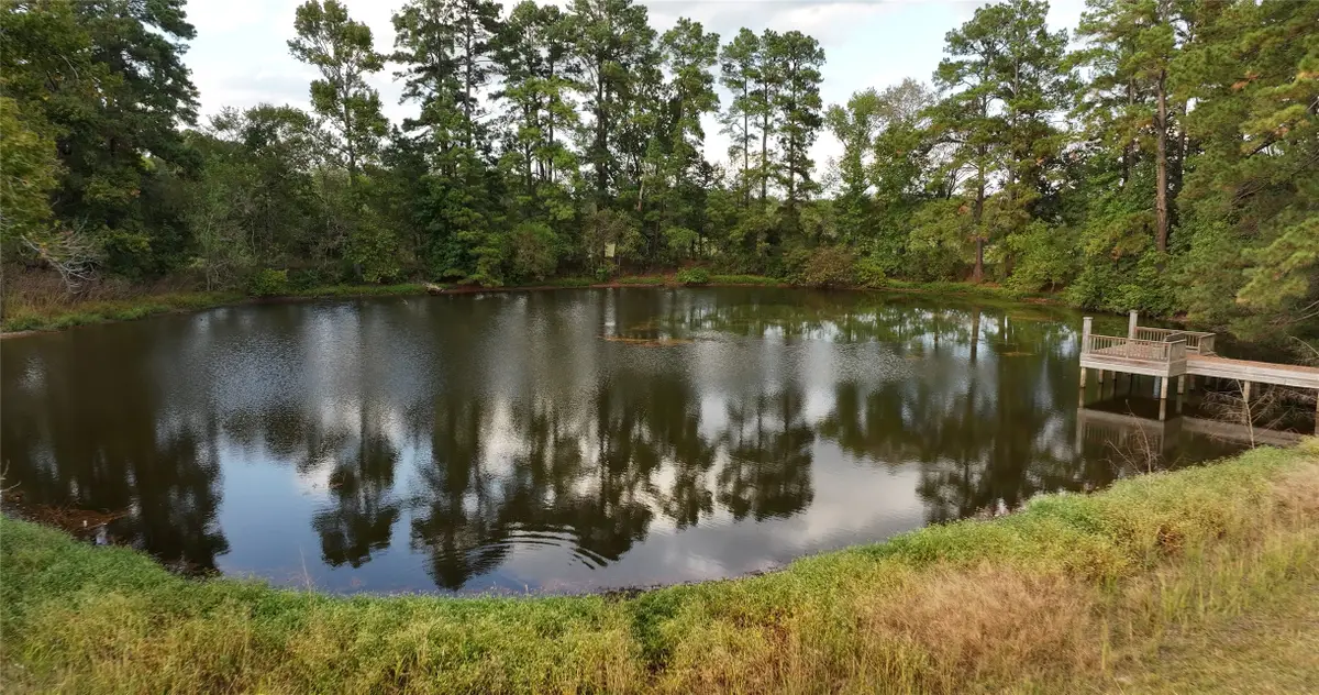 12039 Amberwood Dr, Montgomery, TX 77356 - Image #1