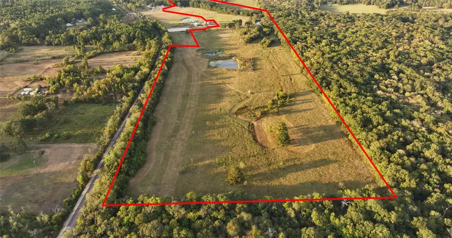 12039 Amberwood Dr, Montgomery, TX 77356 - Image #3