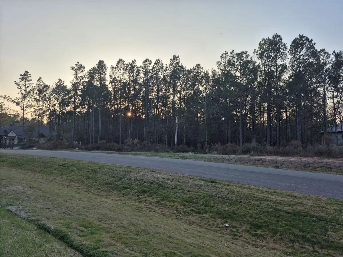 25179 Chisos Bend, Montgomery, TX 77316 - Image #1