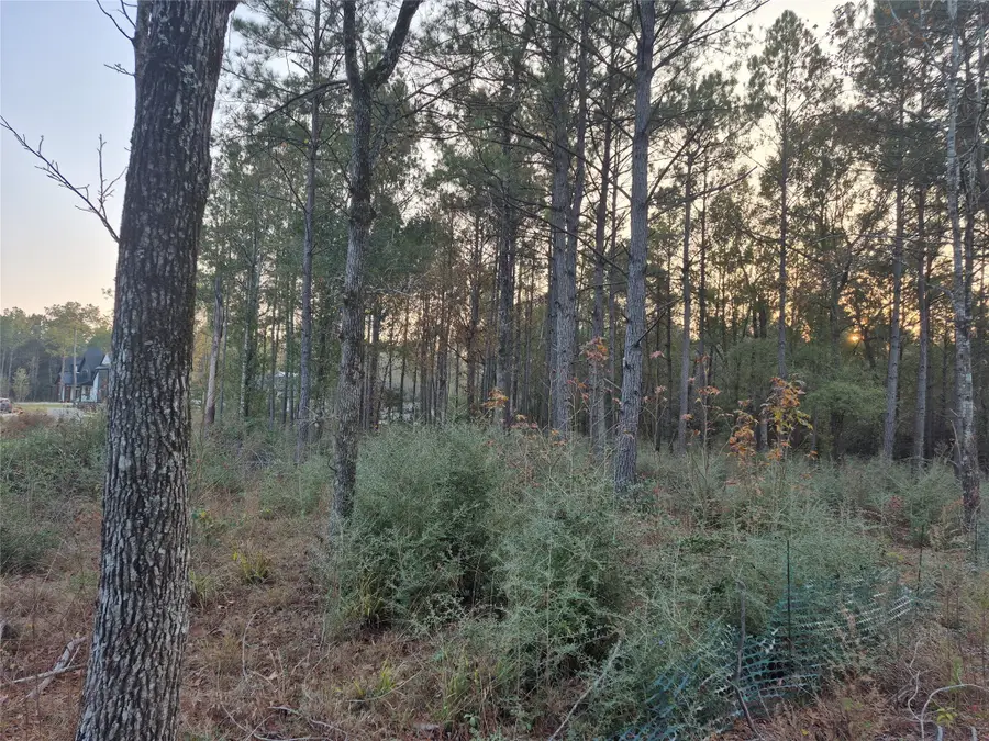 25179 Chisos Bend, Montgomery, TX 77316 - Image #2