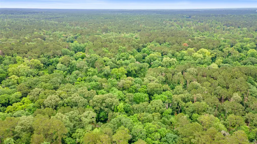 12572 Royal Creek Road, Conroe, TX 77303 - #2