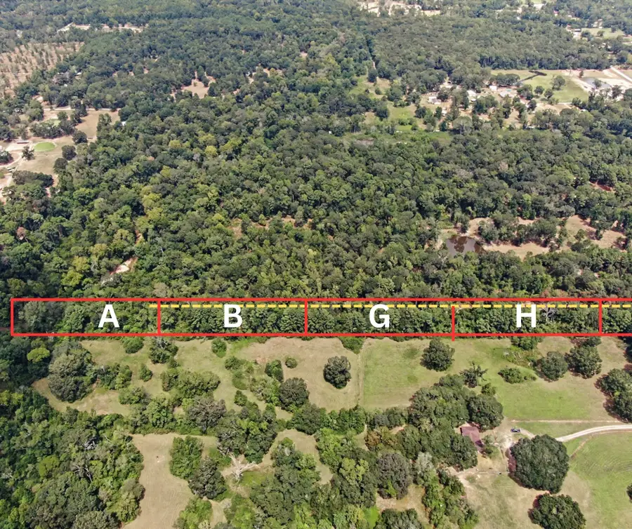 H Hayden Road, Conroe, TX 77306 - #2