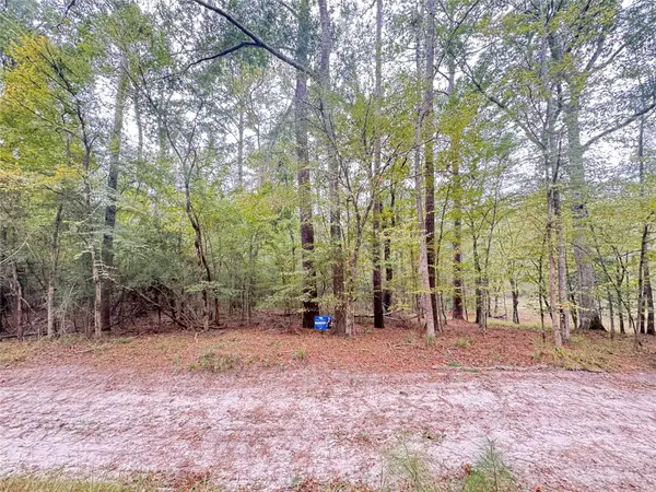 TBD Offshore Lane, Onalaska, TX 77360