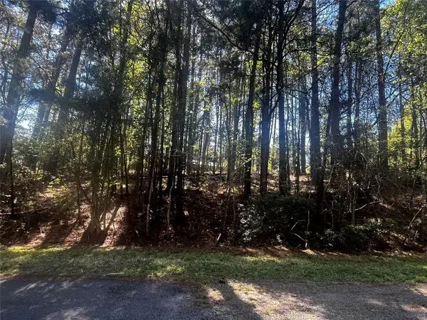 207 Green Tree Drive, Coldspring, TX 77331