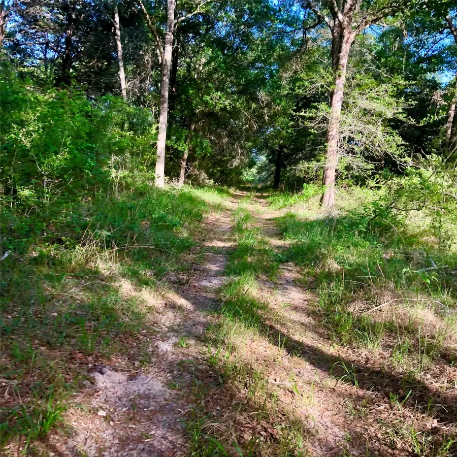 10324 Fm 530, Hallettsville, TX 77964 - Image #2