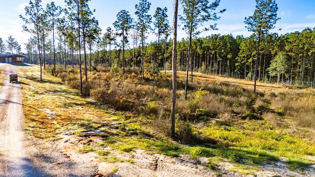 Lot 2 Black Buck Drive, Moscow, TX 75960 - #1
