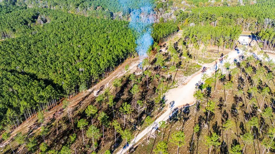 Lot 2 Black Buck Drive, Moscow, TX 75960 - #2