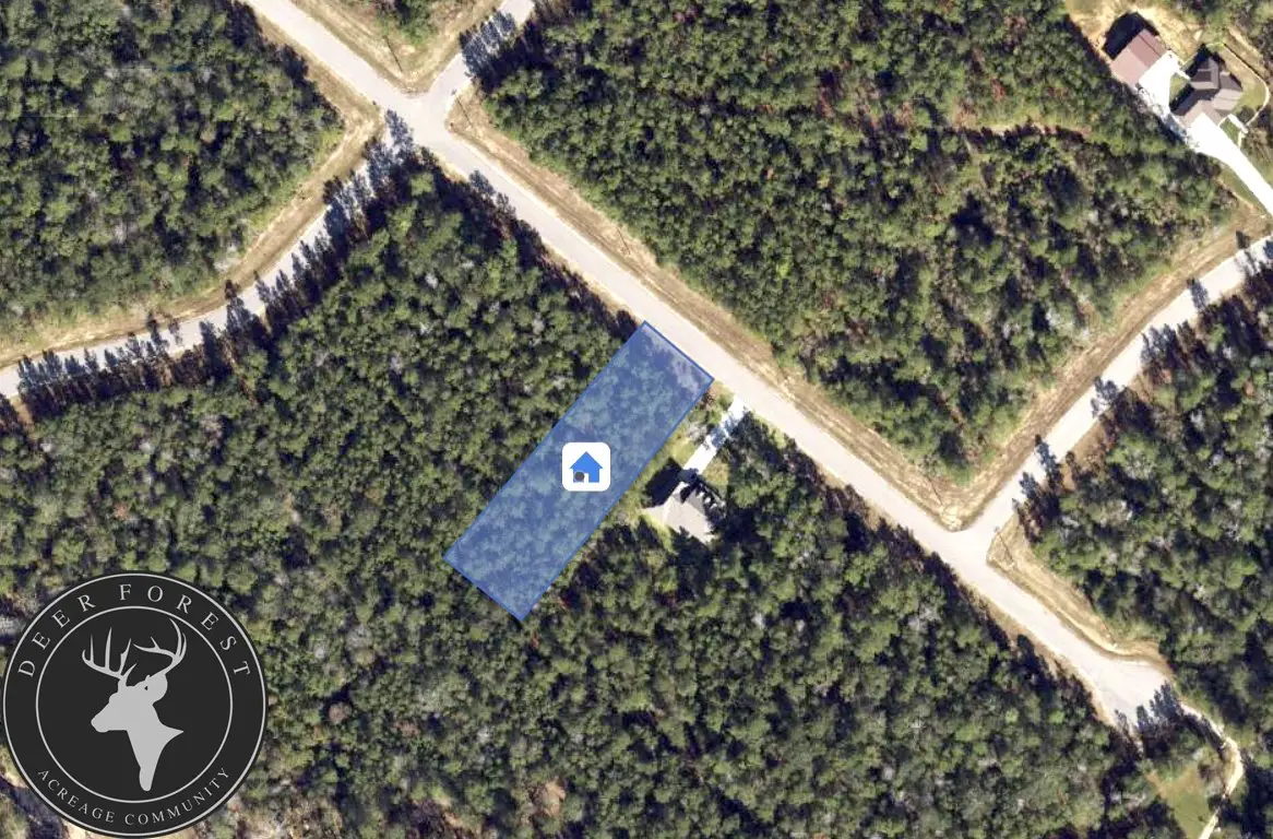 94 Coyote Run, Willis, TX 77378 - #1