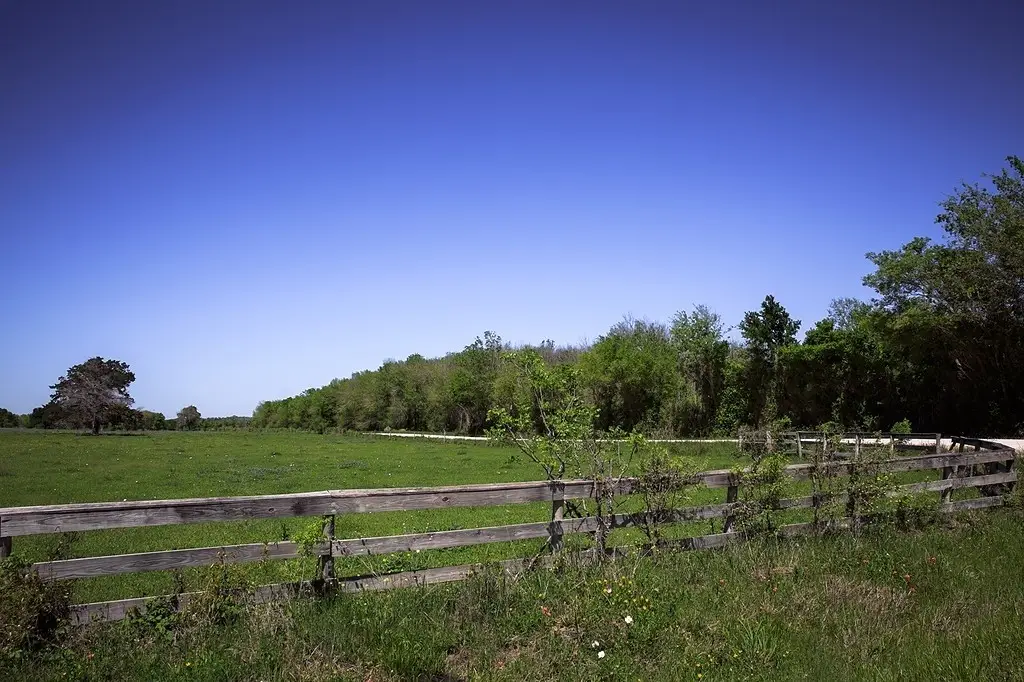 TBD Caney Creek Rd, Chappell Hill, TX 77426 - #1