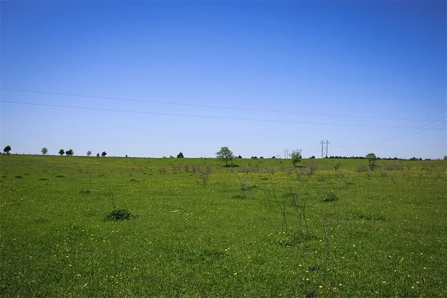 TBD Caney Creek Rd, Chappell Hill, TX 77426 - #2