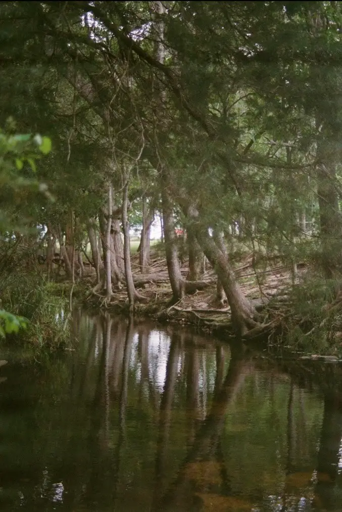 1532 County Road 250, Weimar, TX 78962 - #1