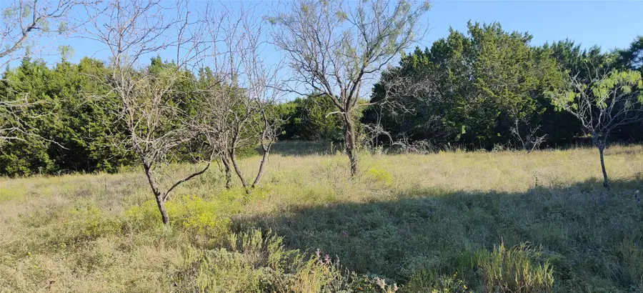 220 Private Road 16025, Jonesboro, TX 76538 - #2