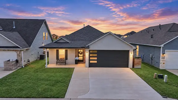 10737 S Lake Mist Lane, Willis, TX 77318
