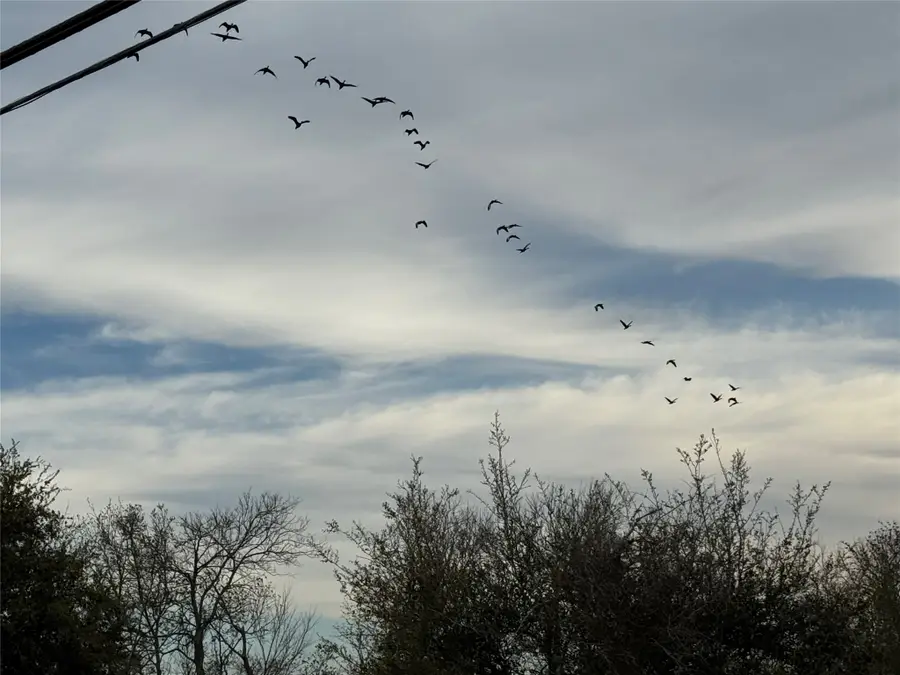 0 County Road 46, Angleton, TX 77515 - #2