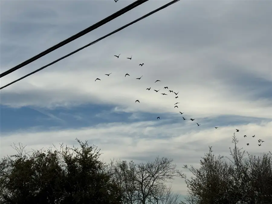 0 County Road 46, Angleton, TX 77515 - #3