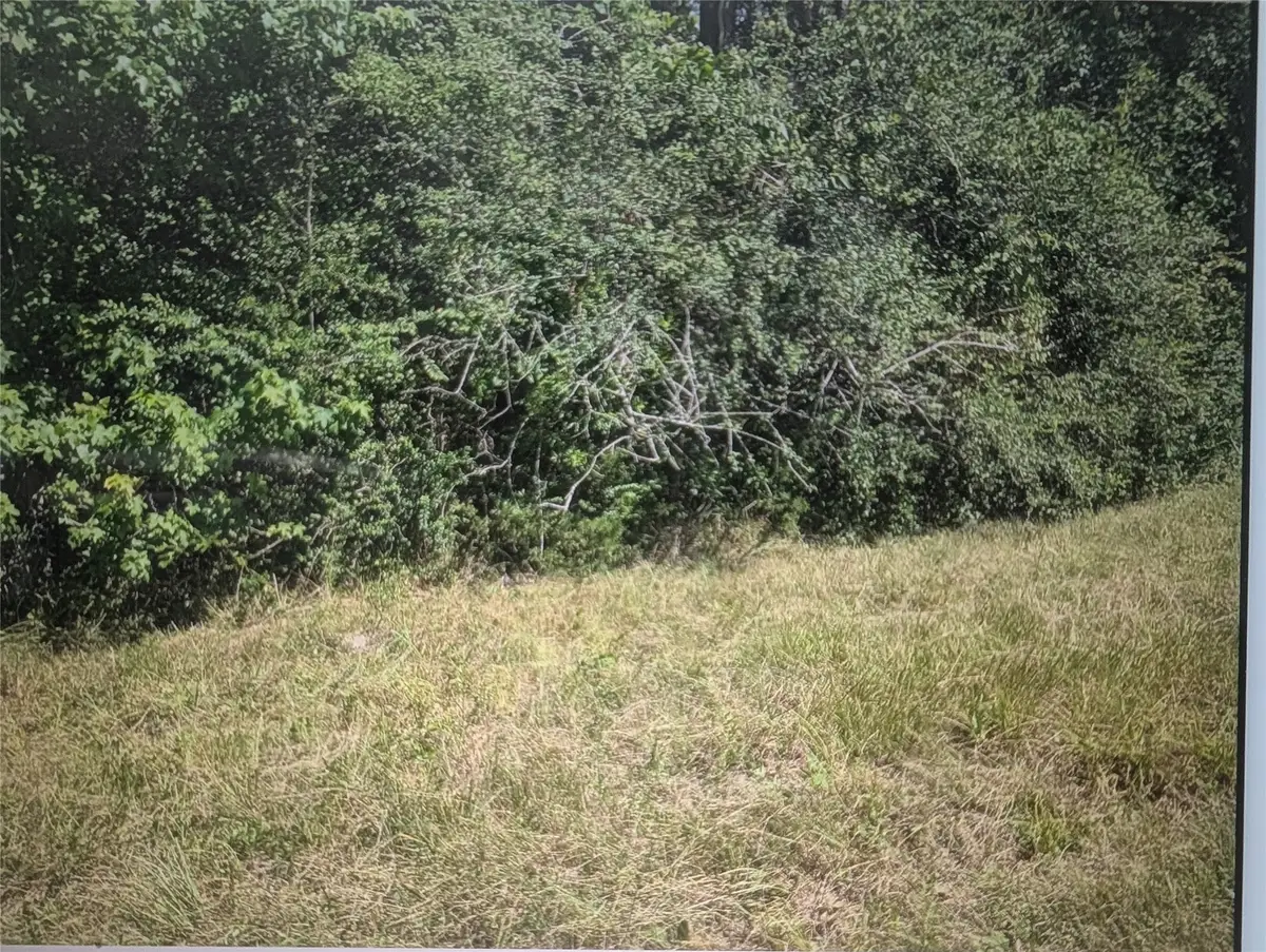 0 Phillip Cooper Road, Corrigan, TX 75939 - #1