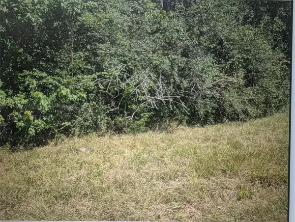0 Phillip Cooper Road, Corrigan, TX 75939