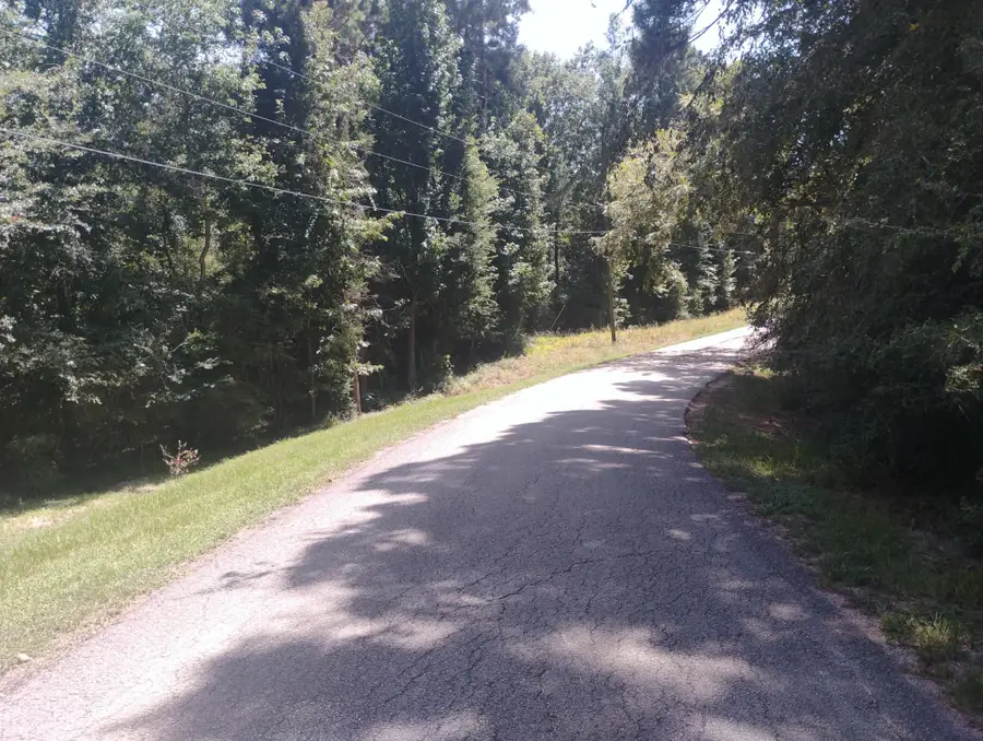 00 Magnolia Lane, Onalaska, TX 77360 - #3