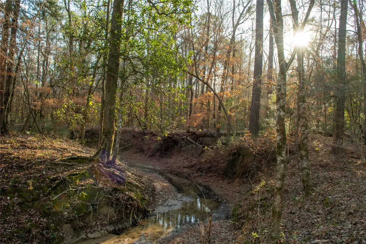 0 Chatfield Road, Livingston, TX 77351 - Image #1